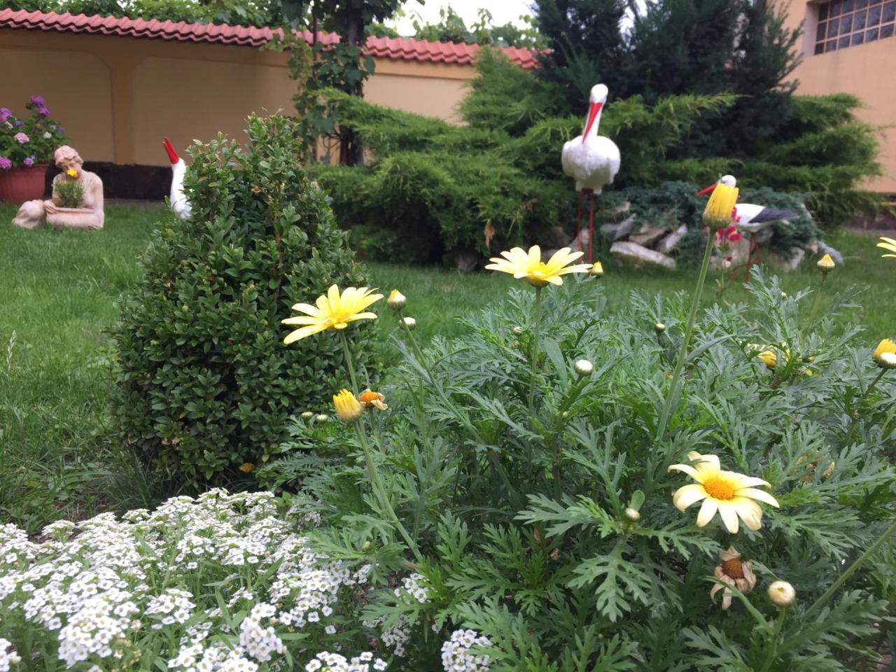 Casa Florea Avrig Esterno foto